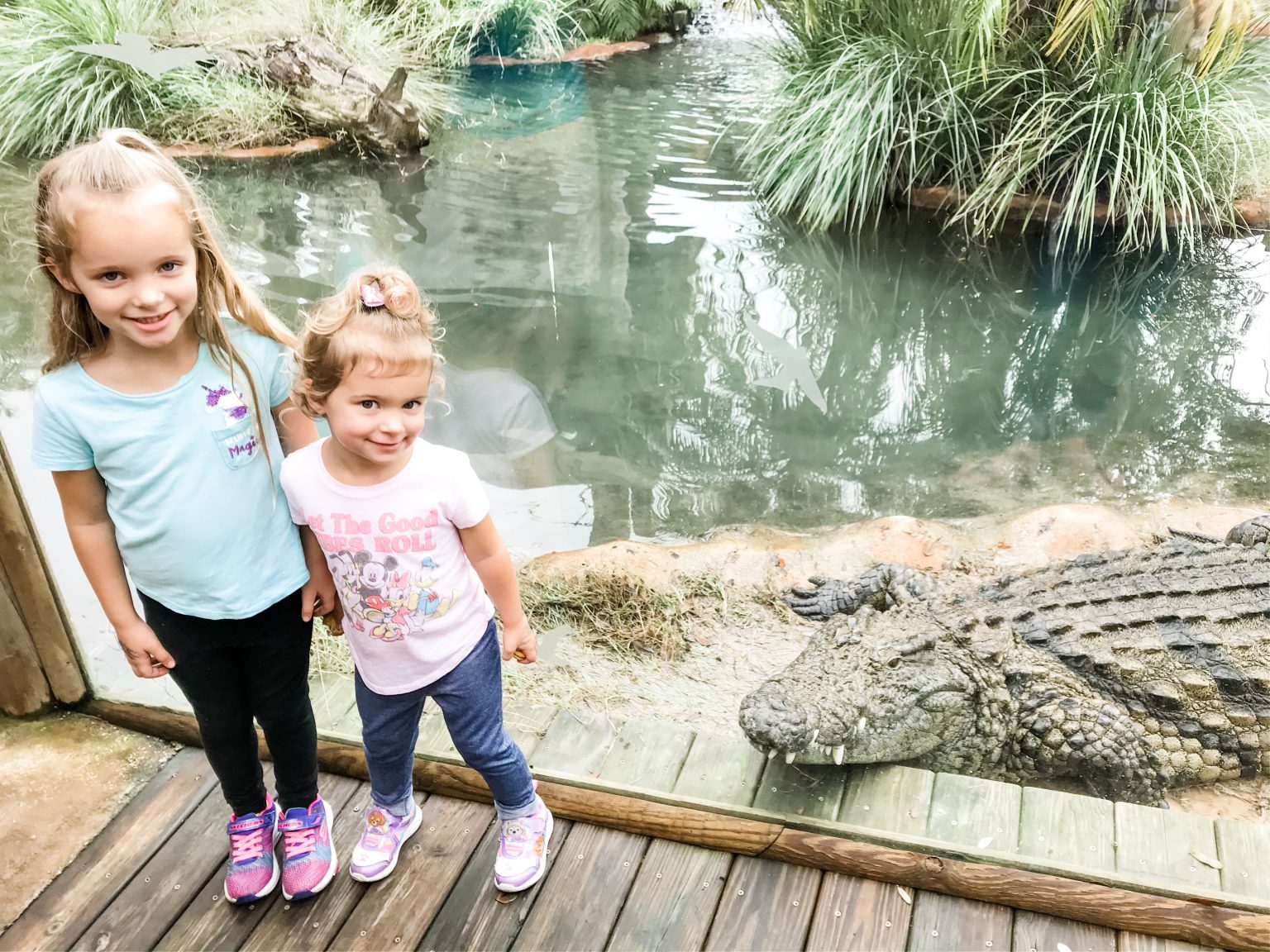 St. Augustine Alligator Farm Zoological Park - Date Your State